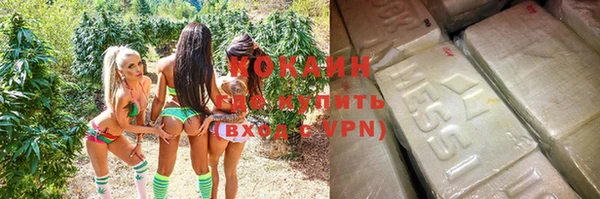 трава Медвежьегорск
