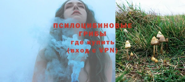ГАЛЛЮЦИНОГЕННЫЕ ГРИБЫ Майский
