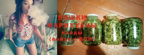 гидра Мегион