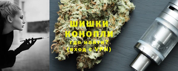 трава Медвежьегорск