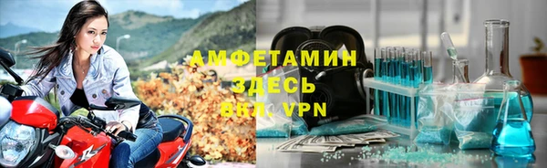 трава Медвежьегорск