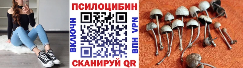 Псилоцибиновые грибы мицелий  Цивильск 